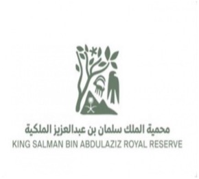 شريك 1